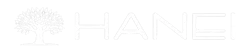 Hanei Solutions